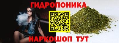 хмурый Малгобек