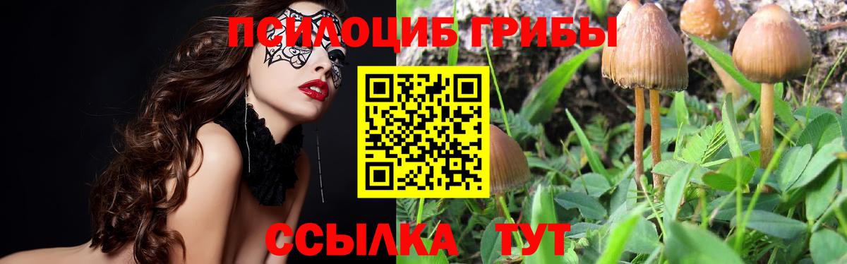 Волгодонск  Псилоцибиновые грибы ЛСД  Вход с VPN 
